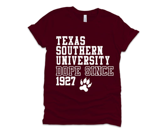 Texas Southern University HBCU TSU Tigers Homecoming T-shirt